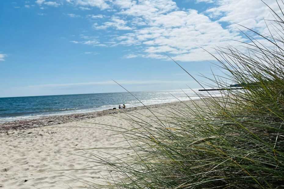 de lente, wind en regen